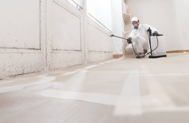 24/7 Emergency Black Mold Remediation experts in Middlesex, NJ